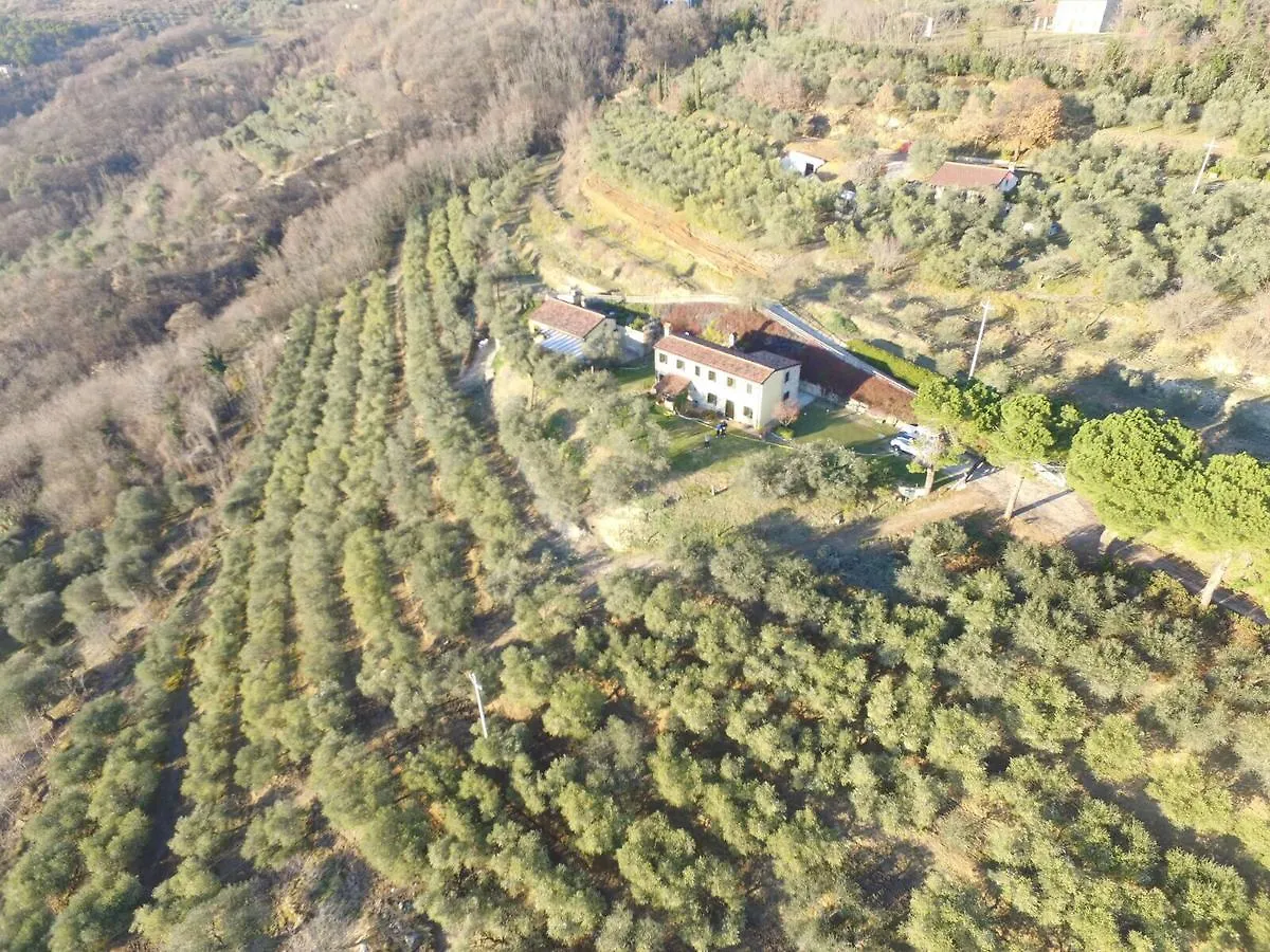Casa vacanze Holiday House Petrarca Arquà Petrarca Italia